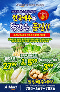 Toronto Hans Farm Direct Delivery Cabbage